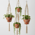 Macrame Hanging Planters