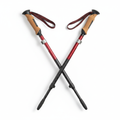 Trekking Poles